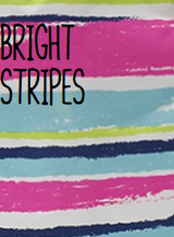 CLEARANCE Cosemetic Case