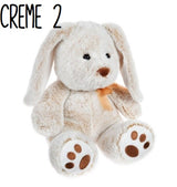 Personalized Bunny | Multiple Styles